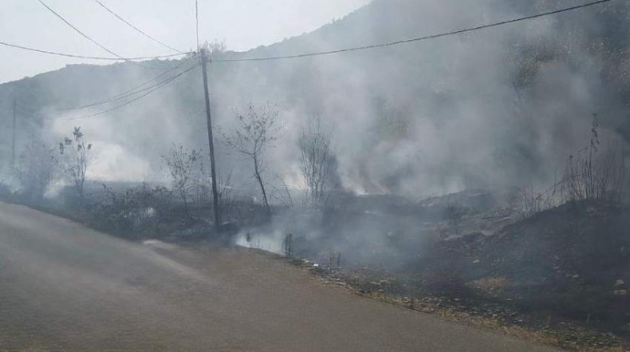 Qəbələdə yanğın törədən şəxslər  müəyyən edilib - FOTO 