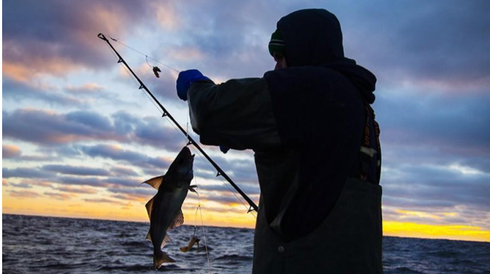 Qanunsuz balıq ovu ilə məşğul olan şəxslər saxlanılıb 