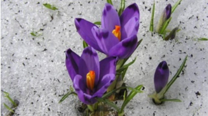 Novruz bayramında hava kəskin SOYUYACAQ  