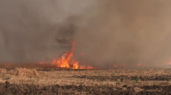 Samux və Gəncədə yanğın olub