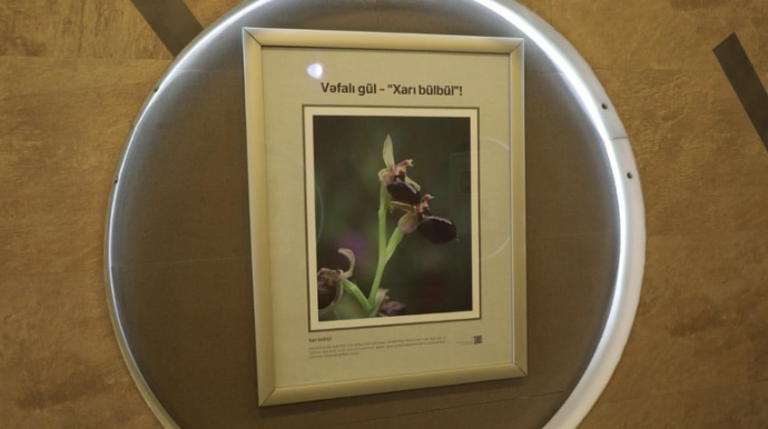 В бакинском метро открылась фотовыставка, посвященная Карабаху