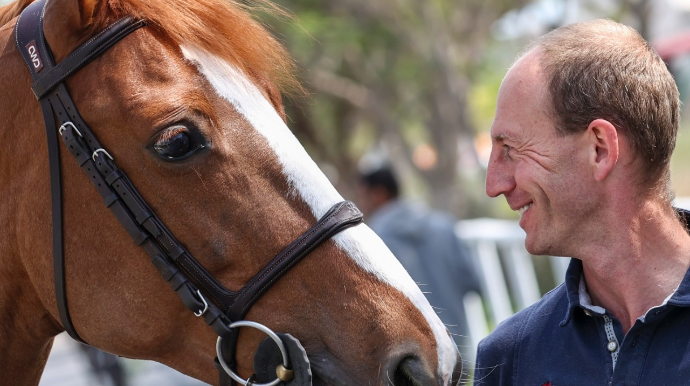 Yaxın Şərqdə müharibə atlara da təsir etdi 