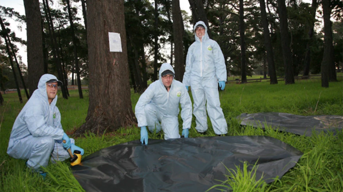 Alimlər yeni virus aşkar etdi