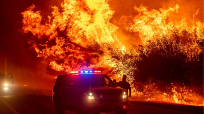 Azad edilmiş ərazilərdə baş verən yanğın hadisələrinin sayı açıqlanıb 