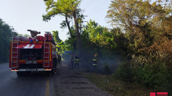 Xaçmazda meşəlik ərazidə baş vermiş yanğın söndürülüb 