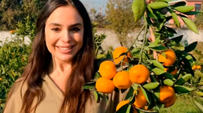 Leyla Əliyeva Lənkərandan paylaşım etdi - VİDEO