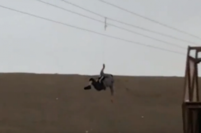 Bakıda azyaşlı uşaq ölümdən döndü - VİDEO