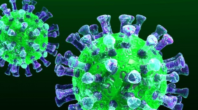 Paytaxtda koronavirusa ən az yoluxma halı Pirallahı rayonunda qeydə alınıb