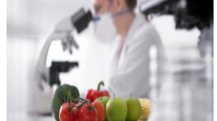 Qida məhsullarına dair yeni tələblər qüvvəyə mindi