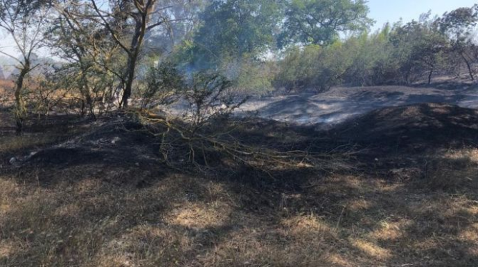 Xətaidə açıq sahədə yanğın başlayıb