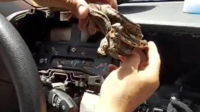 İlan idarə panelinə çıxıb və sürücünü qorxudub  - FOTO