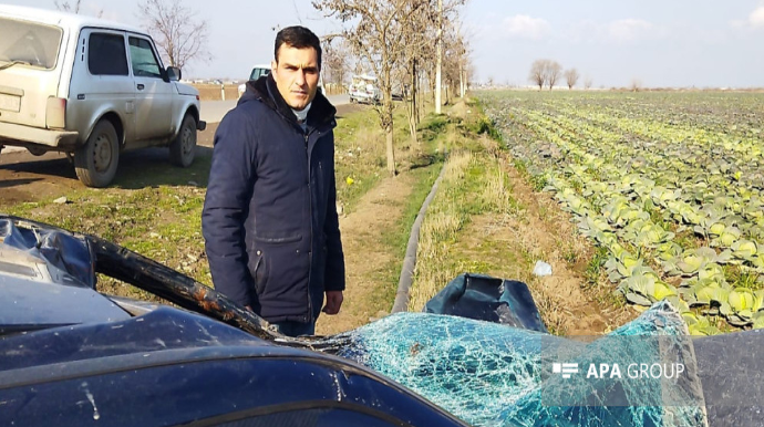 Bərdədə avtomobil atı vurub - FOTO 