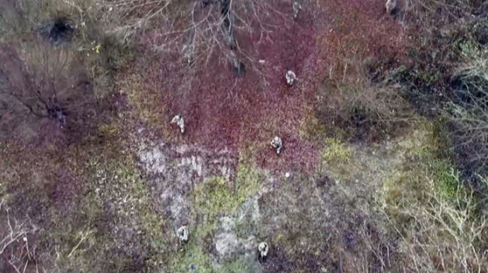 Müdafiə Nazirliyi həftəlik icmalını təqdim etdi   - VİDEO