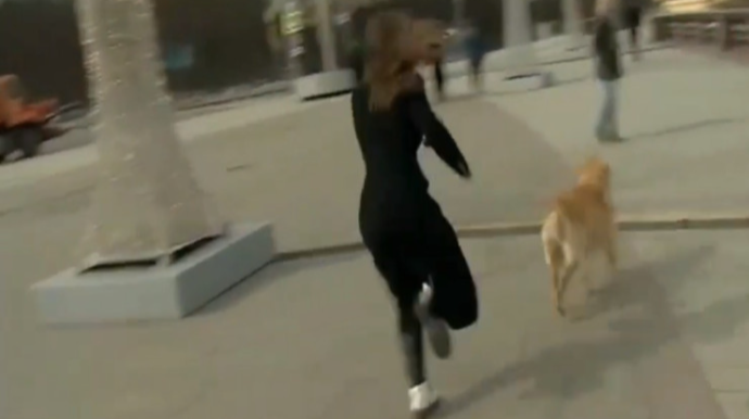 İt canlı yayımda jurnalistin mikrofonunu OĞURLADI - VİDEO