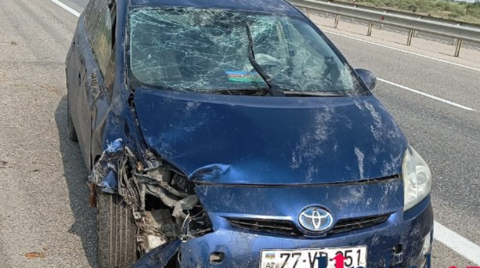 Goranboyda "Prius"  ağaca çırpıldı