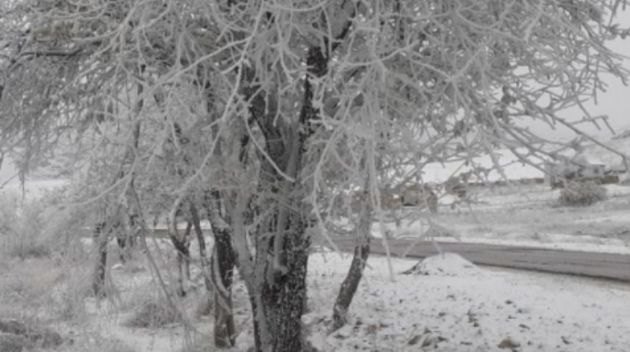 Şamaxıya qar yağıb, yollar buz bağlayacaq - FOTO