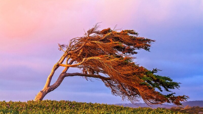 İki gün güclü külək əsəcək - XƏBƏRDARLIQ 