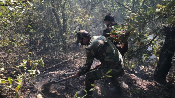 Meşə yanğınları turizmə nə qədər ziyan vurub?