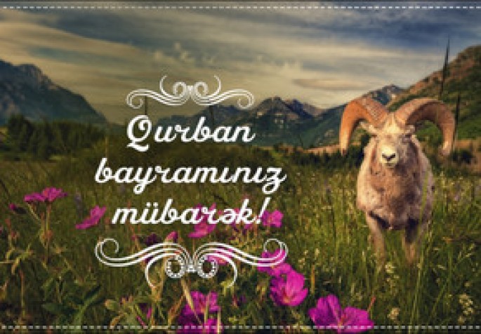 Qurbanlıq heyvan necə seçilməli və kəsilməlidir? - RƏY
