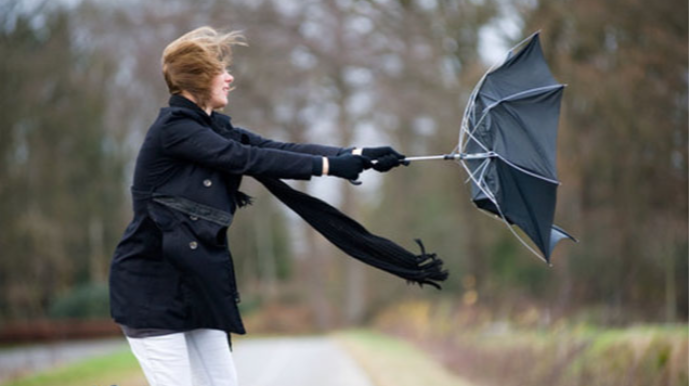 "Hündür ağacların altında dayanmayın" - XƏBƏRDARLIQ 
