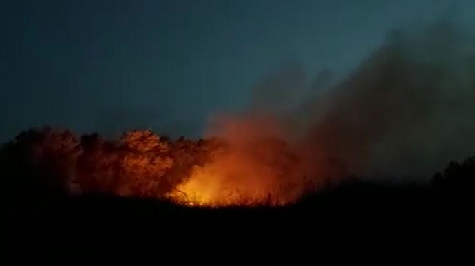 На азербайджано-иранской границе произошел пожар
