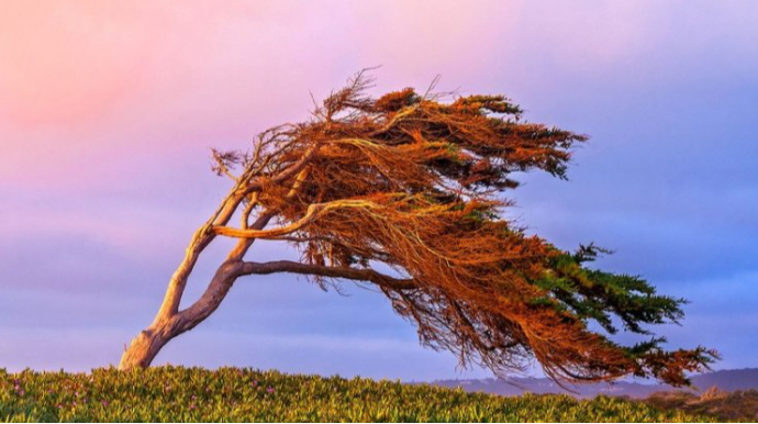 Növbəti iki gündə külək güclənəcək - XƏBƏRDARLIQ 