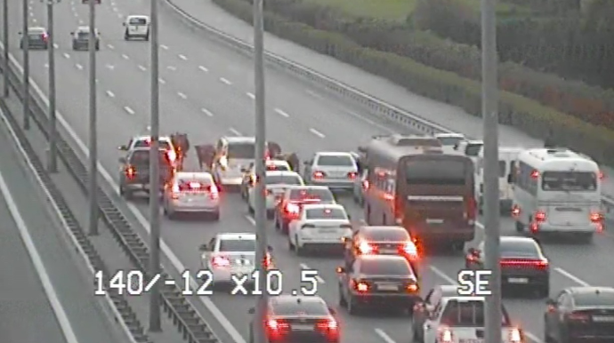 İribuynuzlu heyvanlar yolda sürücülər üçün problem yaratdı - FOTO