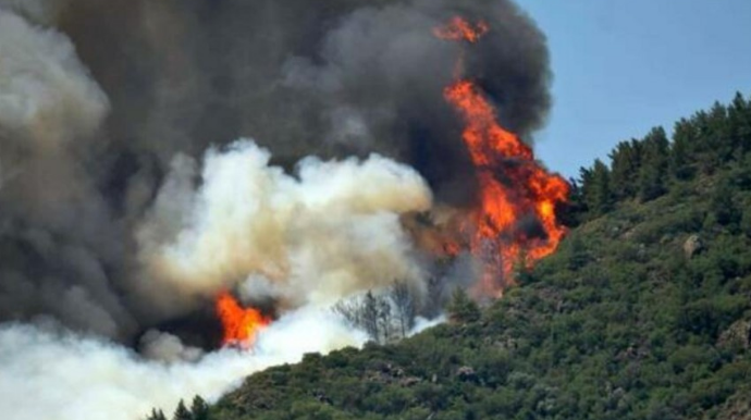 Türkiyədə daha iki meşə yanğını ocağı yaranıb