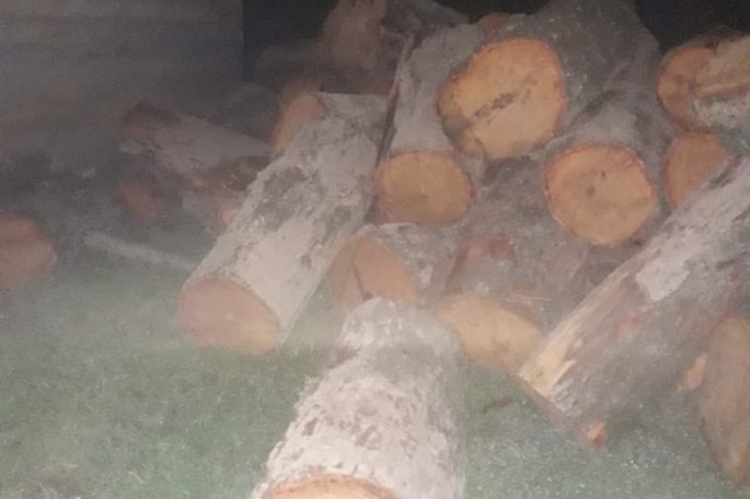 Qanunsuz yolla əldə olunmuş meşə materialı aşkarlanıb - FOTO