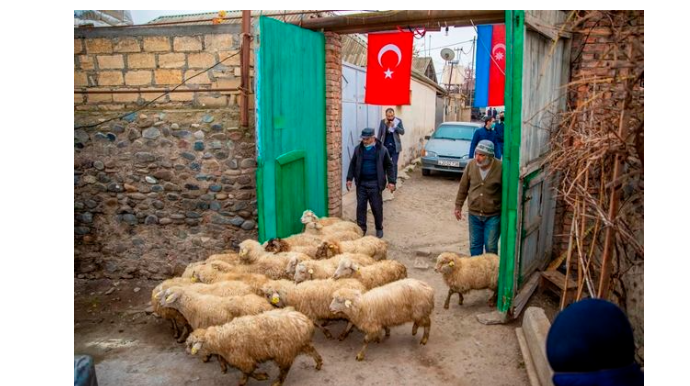 Bir qrup şəhid ailəsi və müharibə iştirakçısı üçün kiçik təsərrüfatlar yaradıldı
