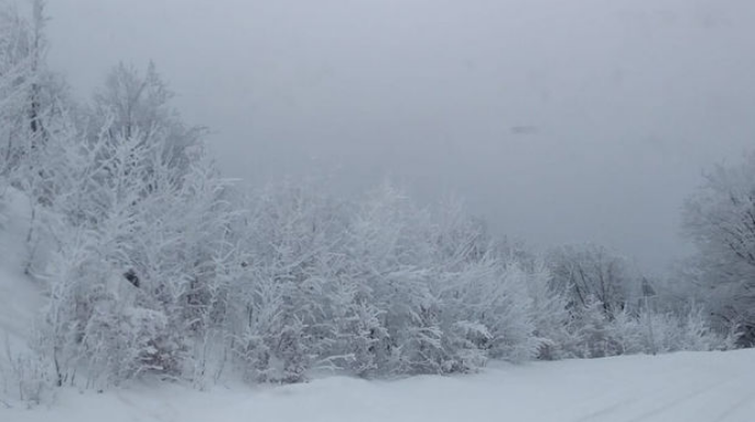 Milli parklardan qar görüntüləri - FOTO 