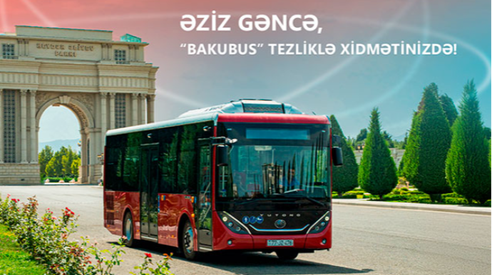 “BakuBus”ın Gəncədə fəaliyyətə başlaması ilə bağlı hazırlıq işləri davam etdirilir 