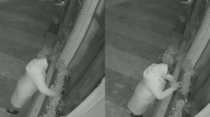 Sumqayıtda qadının “gül sevgisi” kameralara düşdü - VİDEO 