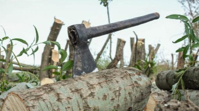 Sabirabadda balta ilə arvadını öldürən şəxs tutuldu