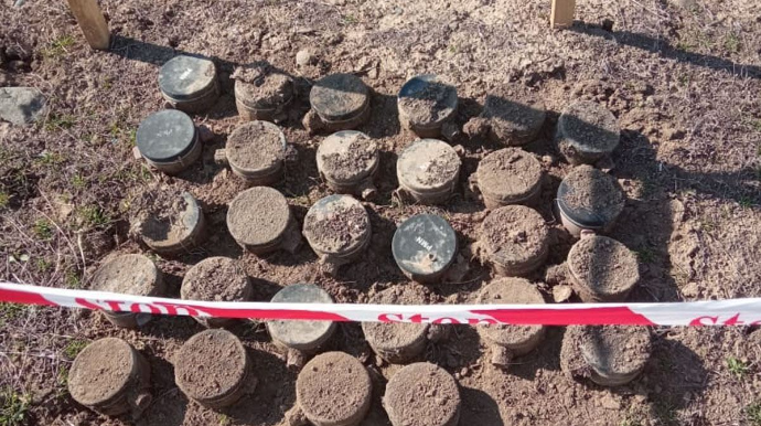 Zəngilanda "Ağıllı kənd"in 42 hektarı minalardan təmizlənib