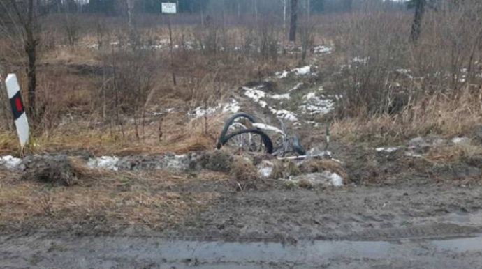 Брянской области насмерть сбили велосипедистку