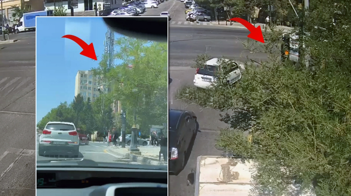 Bakıda ağac sürücünü "işə saldı" - 100 manat cərimələndi - VİDEO 