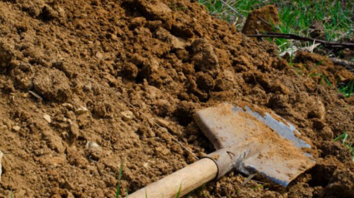 Azərbaycanda oğul xəstə atasını öldürüb həyətdə basdırdı 