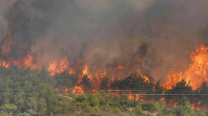 В Турции продолжается борьба с 13 очагами лесных пожаров