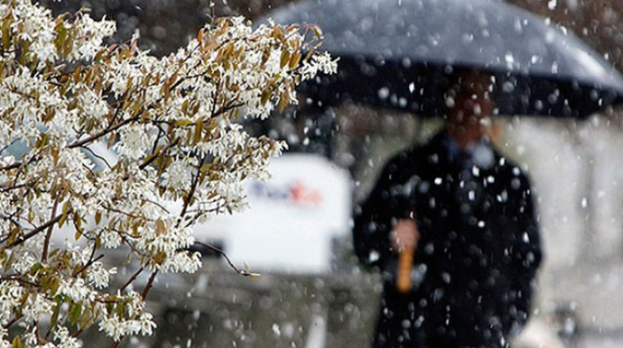 Высота снежного покрова в Загатале достигла 41 см - ФАКТИЧЕСКАЯ ПОГОДА 