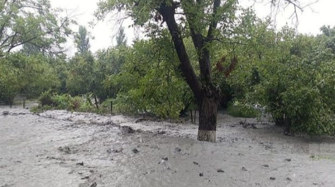 Zaqatalanın kəndləri sel suları altında qalıb: Magistral yol bağlanıb - FOTO 