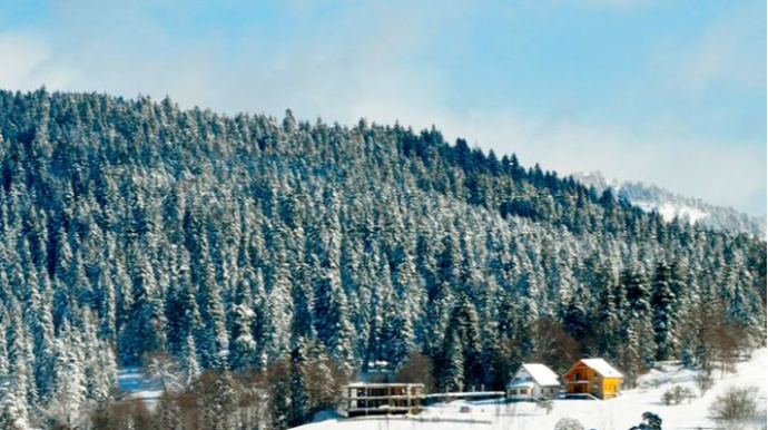Gürcüstanda ilə qış turizm zonalarının fəaliyyəti dayandırılır