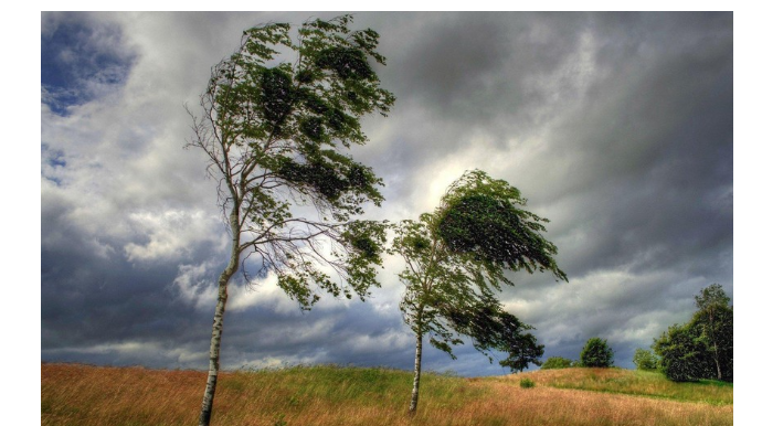 Sabah hava küləkli olacaq