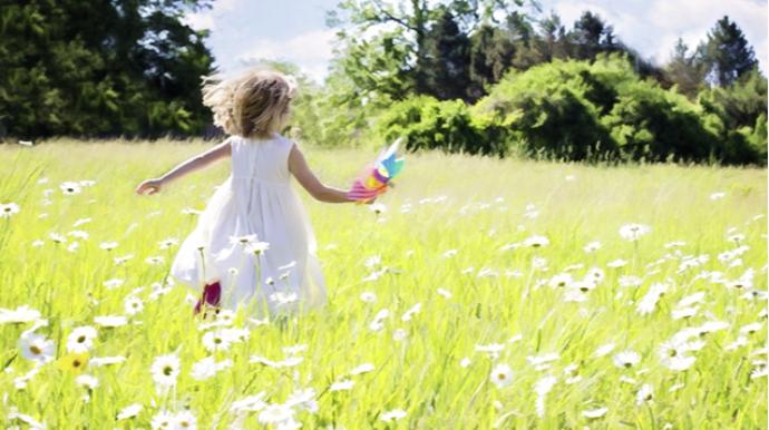 Bazar gününə olan hava proqnozu 