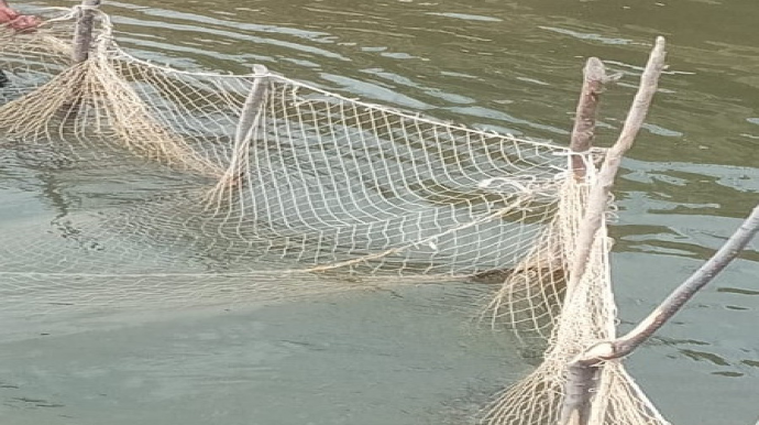 Qanunsuz balıq ovu edən şəxslərdən 20 sintetik tor götürülüb - FOTO 