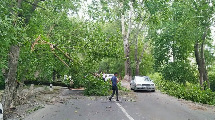 İsmayıllı-Oğuz yolunda nəqliyyatın hərəkəti təmin olunub, yola aşan ağaclar yığışdırılıb  - FOTO