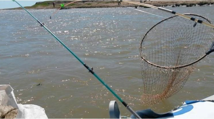 Qanunsuz balıq ovlayanlar cəzalandırılıb