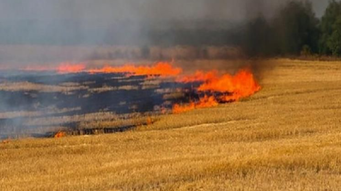 Gəncədə biçilmiş taxıl sahəsi yanır
