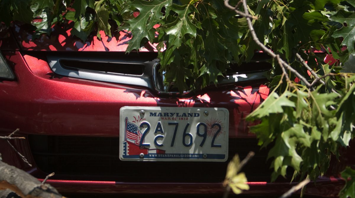 Dövlət nömrə nişanında qumar oyunları reklam olunur 