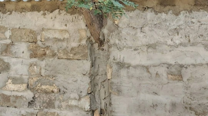 Nizamidə qalmaqallı anbar tikintisi: "Oraya heç maşın yerləşər?!" - VİDEO